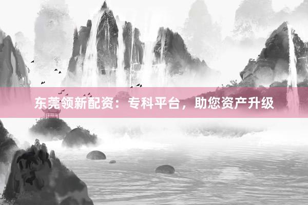 东莞领新配资：专科平台，助您资产升级