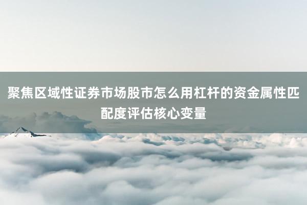 聚焦区域性证券市场股市怎么用杠杆的资金属性匹配度评估核心变量
