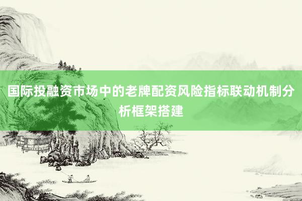 国际投融资市场中的老牌配资风险指标联动机制分析框架搭建