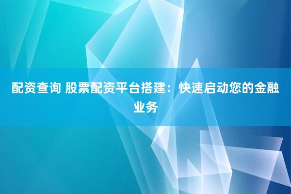 配资查询 股票配资平台搭建：快速启动您的金融业务